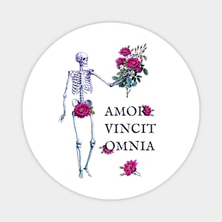 Amor Vincit Omnia skeleton and roses white Magnet